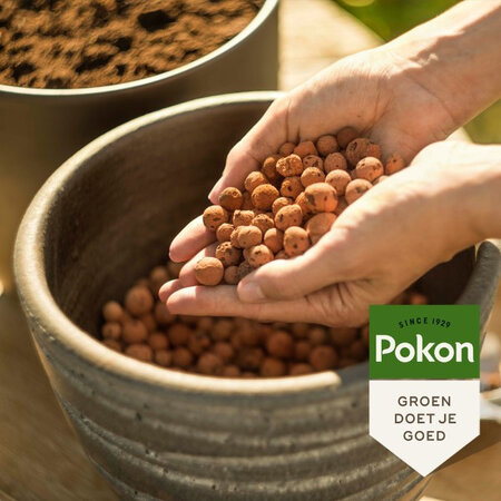 Pokon Buy Hydrograins 20 lt at the Online Garden Center Garden Select