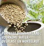 Compo Hydrograins 20 liters - Ideal ground cover for plant pots! Garden Select