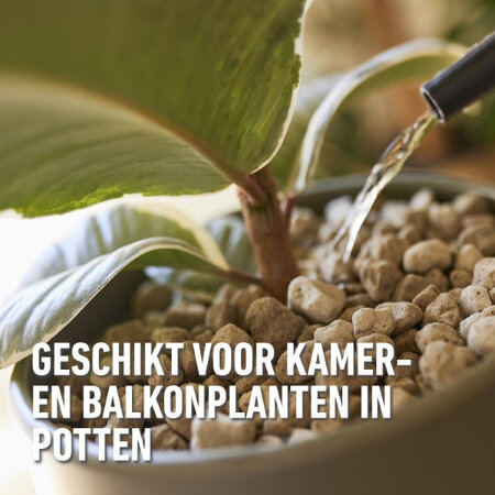 Compo Hydrokorrels 20 lt - Ideale Bodembedekker Voor In Plantenpotten! Garden Select