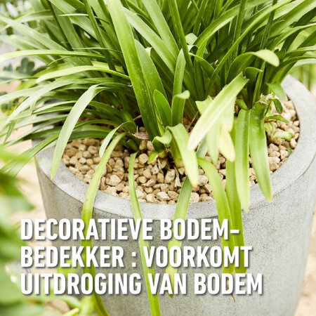 Compo Hydrograins 20 Liter – Ideale Bodenabdeckung für Pflanzgefäße! Garden Select