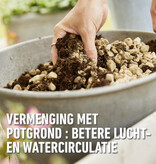 Compo Hydrograins 20 liters - Ideal ground cover for plant pots! Garden Select