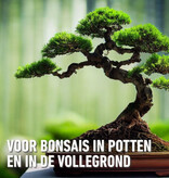 Compo Sana Bonsai Potting Soil 5 lt - The Best Food for Bonsai Trees - Garden Select