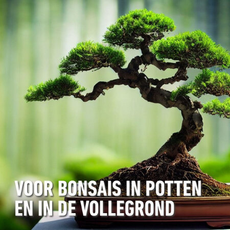 Compo Sana Bonsai-Erde 5 l – Die beste Nahrung für Bonsai-Bäume – Garden Select