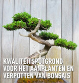 Compo Sana Bonsai-Erde 5 l – Die beste Nahrung für Bonsai-Bäume – Garden Select
