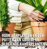 Compo Kamerplanten & Palmen Potgrond 10 lt - Meststof - Garden Select