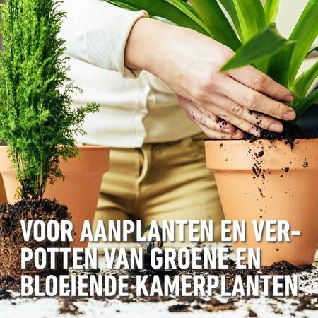 Compo Houseplants & Palms Potting Soil 10 lt - Fertilizer - Garden Select