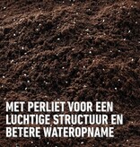 Compo Kamerplanten & Palmen Potgrond 10 lt - Meststof - Garden Select