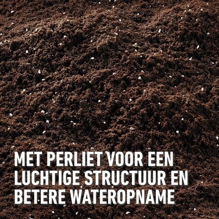 Compo Kamerplanten & Palmen Potgrond 10 lt - Meststof - Garden Select