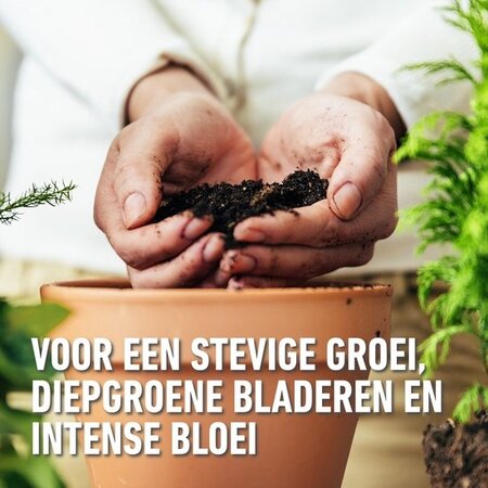 Compo Kamerplanten & Palmen Potgrond 10 lt - Meststof - Garden Select