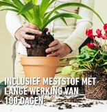 Compo Zimmerpflanzen- und Palmenerde 10 l - Dünger - Garden Select