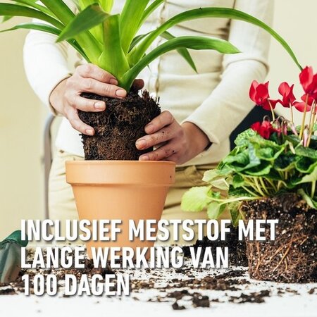 Compo Kamerplanten & Palmen Potgrond 10 lt - Meststof - Garden Select