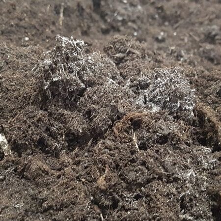 Terraplus Premium 1 - Bigbag m3 - 500 kg - More Active Soil Life - Garden Select