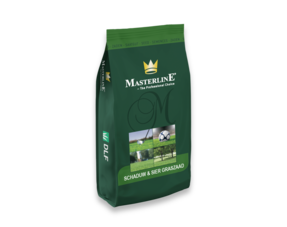 Masterline DLF – Schatten & Dekoration