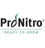 Masterline DLF Masterline is known for its rapid germination, strong growth and recovery.