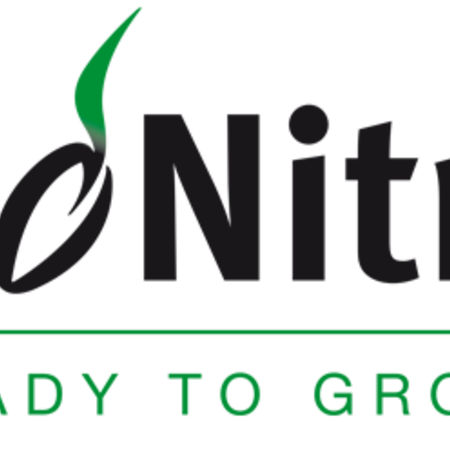 Masterline DLF Masterline is known for its rapid germination, strong growth and recovery.