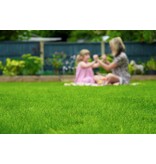 Masterline DLF Speel & Sport - 7,5 kg - 300m² - Voor Een Sterke Groei En Geweldig Herstel!