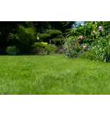 Masterline DLF Shade & Ornamental - 4.5 kg - 180m² - Professional Grass Seed Mixture for Shady Areas.