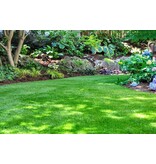 Barenbrug Shade and Sun - 15 kg - For shady lawns - Garden Select