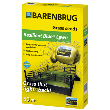 Barenbrug Widerstandsfähiger Blauer Rasen 15 Kg. - Spielrasen - Bis zu 750 M2 - garden-select.com