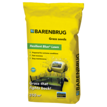 Resilient Blue Lawn Grass Seed 5 kg - 250 m²