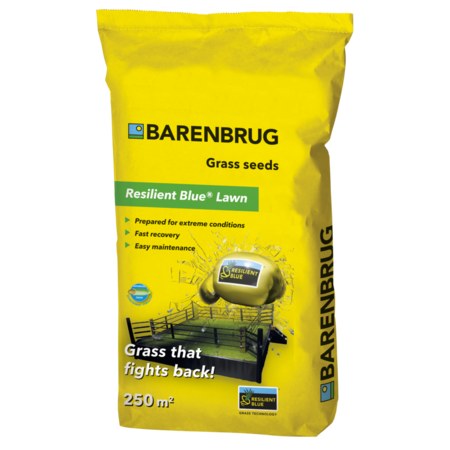 Barenbrug Resilient Blue Lawn Grass Seed 5 kg - 250 m² - Strong recovery - Garden Select