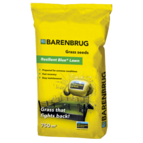 Grassamen - Widerstandsfähiger blauer Rasen 15 Kg. - 750 m2