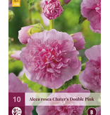 Stokroos Roze - 10 Planten - Alcea Roze Stokrozen Kopen? - Garden-Select.com