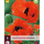 Mohn - Türkenlouis - 5 Pflanzen