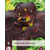 Daylily - Bogeyman - 5 Plants