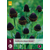 Rudbeckia Black Beauty - 5 Planten
