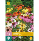 Echinacea Breeders Mix - 15 Planten - Zonnehoed Gemengd - Tuinplanten Kopen?