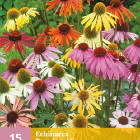 Echinacea Breeders Mix - 15 Planten - Zonnehoed Gemengd - Tuinplanten Kopen?