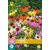 Echinacea Breeders Mix - 15 Plants