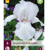 Iris Germanica White Knight - 5 Planten - Winterhard - Zwaardiris - Baardiris Kopen?