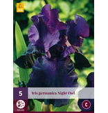 Iris Germanica Night Owl - 5 Planten - Baardiris - Zwaardiris - Zomerbloeiers Kopen?