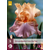 Iris Germanica Crazy For You - 5 Plants