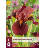 Iris Germanica - Red Zinger - Winterharde Vaste Planten Kopen? - Garden Select