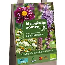 Bio-Sommer – 10 Blumenzwiebeln/Knollen