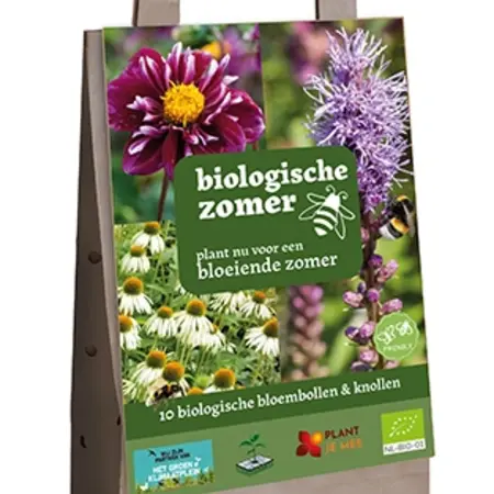 Jub Holland Bio-Sommerblumen – 10 Zwiebeln/Knollen – Bio-Blumenzwiebeln bei Garden Select kaufen