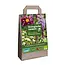 Jub Holland Organic Summer - 10 Bulbs / Tubers - Buy Organic Flower Bulbs at Garden Select