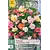 Begonia - Pastel Wave Mix - New - 3 Bulbs