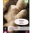Ginger - 5 Plants - Indoor and Outdoor Growing - For Different Dishes