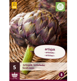 Artisjok - 5 Planten - Lichte Nootachtige Smaak - Italiaanse keuken