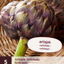 Artischocke - 5 Pflanzen