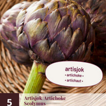 Artischocke - 5 Pflanzen