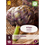 Artichoke - 5 Plants