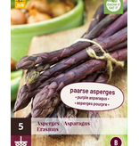 Asparagus - Erasmus - 5 Plants - Salad Asparagus With Sweet Flavours - BBQ Or Wok