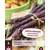Asperges - Erasmus - 5 Planten
