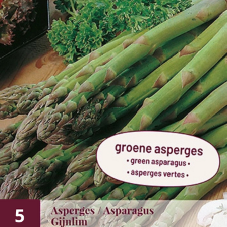 Asparagus - Gijnlim - 5 Plants - For White And Green Asparagus - Buy Vegetable Plants?