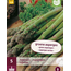 Spargel - Gijnlim - 5 Pflanzen - Für weißen und grünen Spargel - Gemüsepflanzen kaufen?